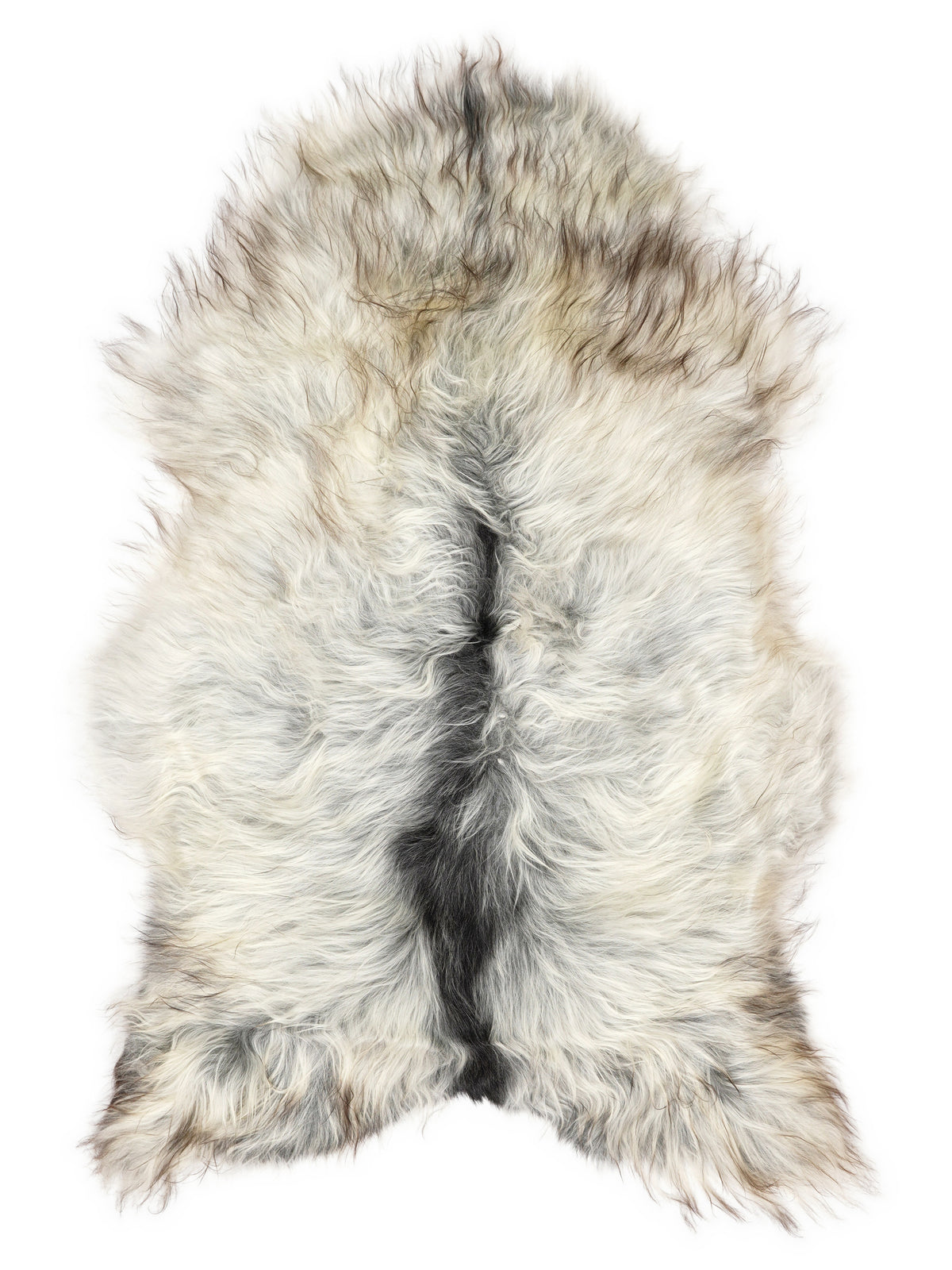 Grey Icelandic sheepskin rug of about 125 × 75 cm, seen from above: the exact sheepskin you receive