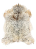 Grey Icelandic sheepskin rug of about 110 × 75 cm, seen from above: the exact sheepskin you receive