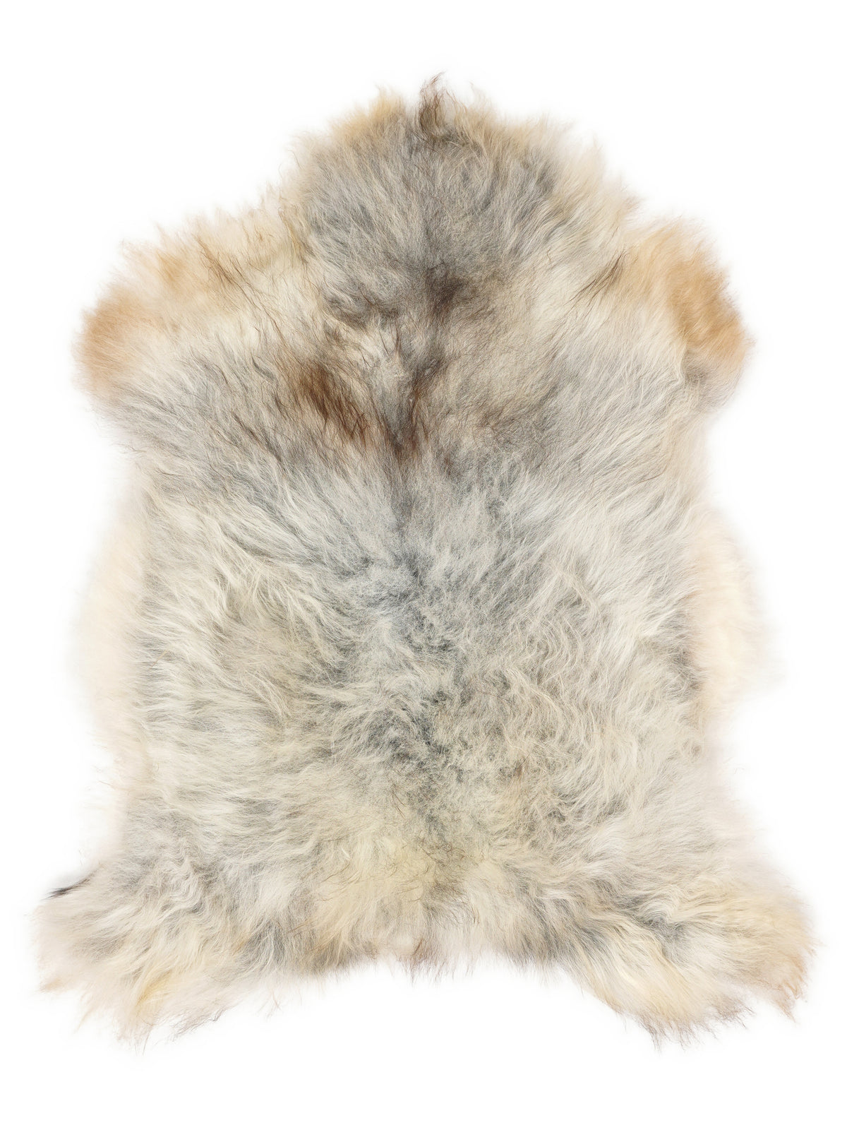 Grey Icelandic sheepskin rug of about 110 × 75 cm, seen from above: the exact sheepskin you receive