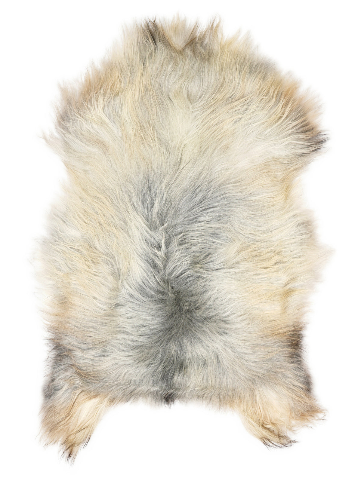 Grey Icelandic sheepskin rug of about 120 × 80 cm, seen from above: the exact sheepskin you receive