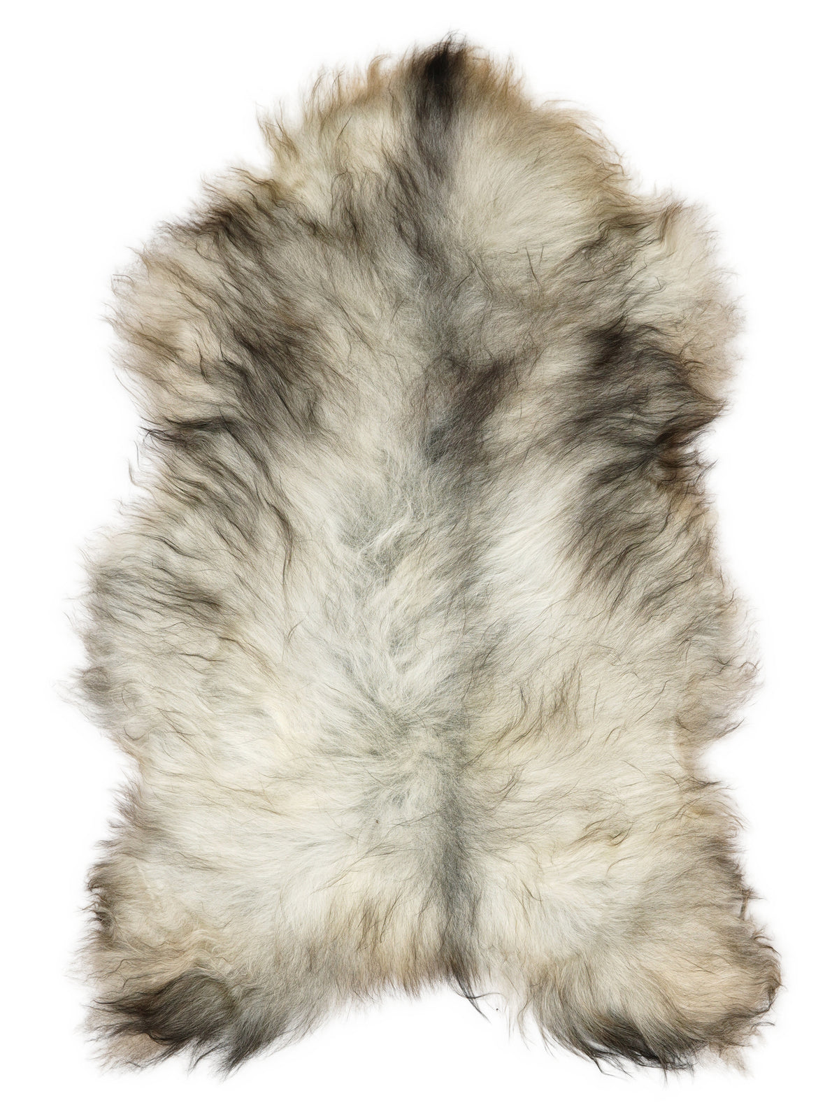 Grey Icelandic sheepskin rug of about 125 × 70 cm, seen from above: the exact sheepskin you receive