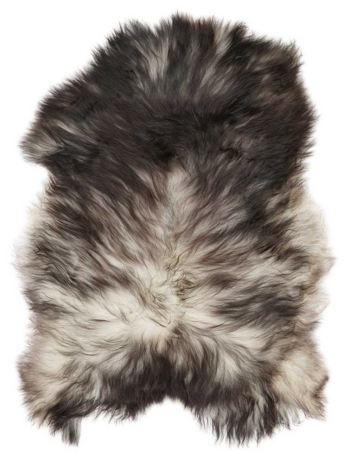 Grey Icelandic sheepskin rug of about 110 × 80 cm, seen from above: the exact sheepskin you receive