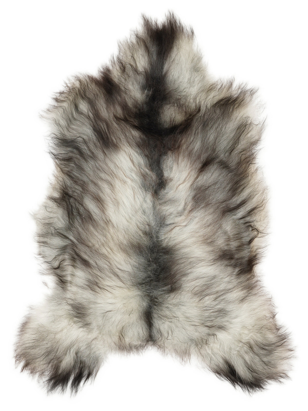 Grey Icelandic sheepskin rug of about 120 × 70 cm, seen from above: the exact sheepskin you receive