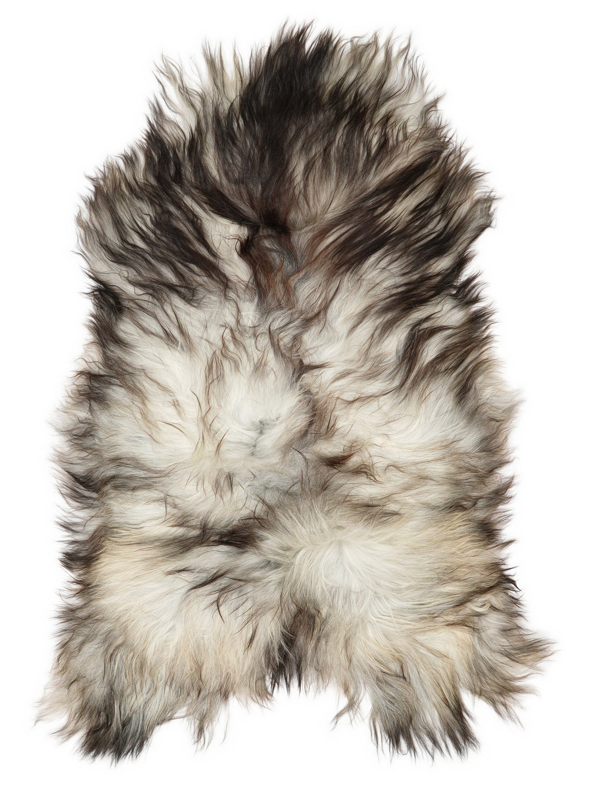 Grey Icelandic sheepskin rug of about 120 × 70 cm, seen from above: the exact sheepskin you receive