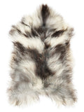 Grey Icelandic sheepskin rug of about 120 × 70 cm, seen from above: the exact sheepskin you receive
