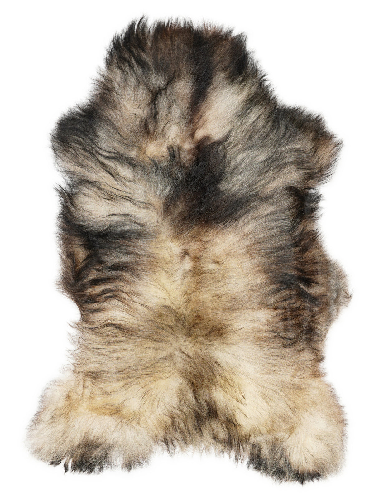 Grey Icelandic sheepskin rug of about 125 × 70 cm, seen from above: the exact sheepskin you receive