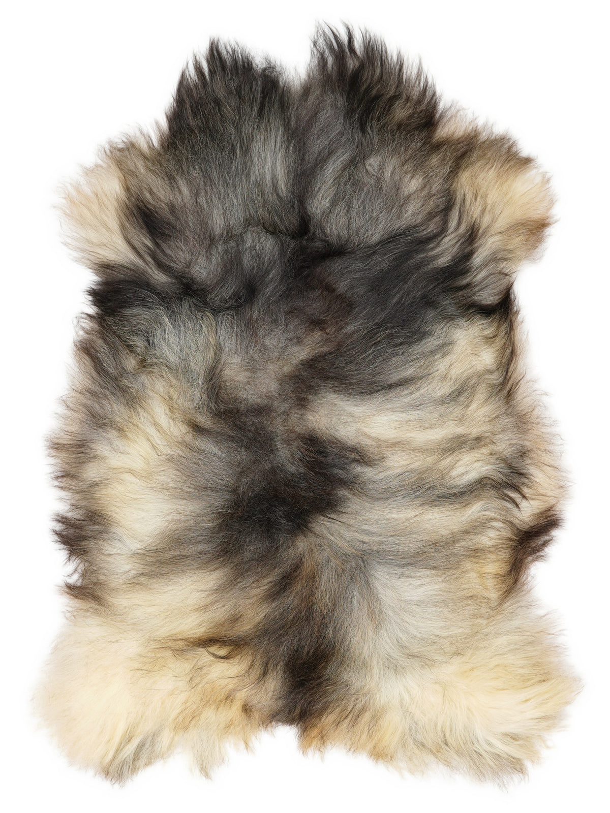 Grey Icelandic sheepskin rug of about 120 × 75 cm, seen from above: the exact sheepskin you receive