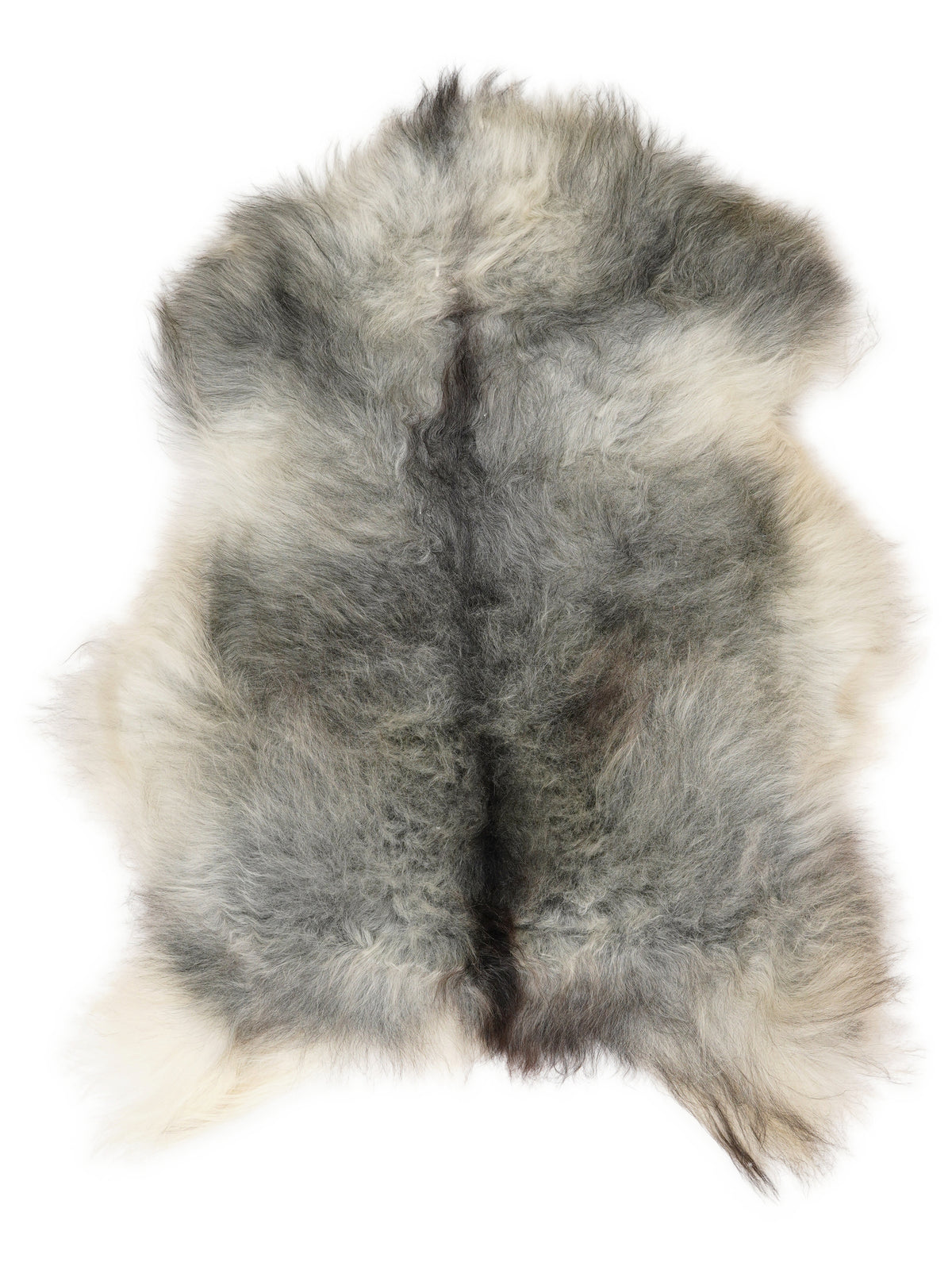 Grey Icelandic sheepskin rug of about 110 × 75 cm, seen from above: the exact sheepskin you receive
