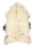 Icelandic multicolour sheepskin rug of about 120 × 75 cm, seen from above: the exact sheepskin you receive