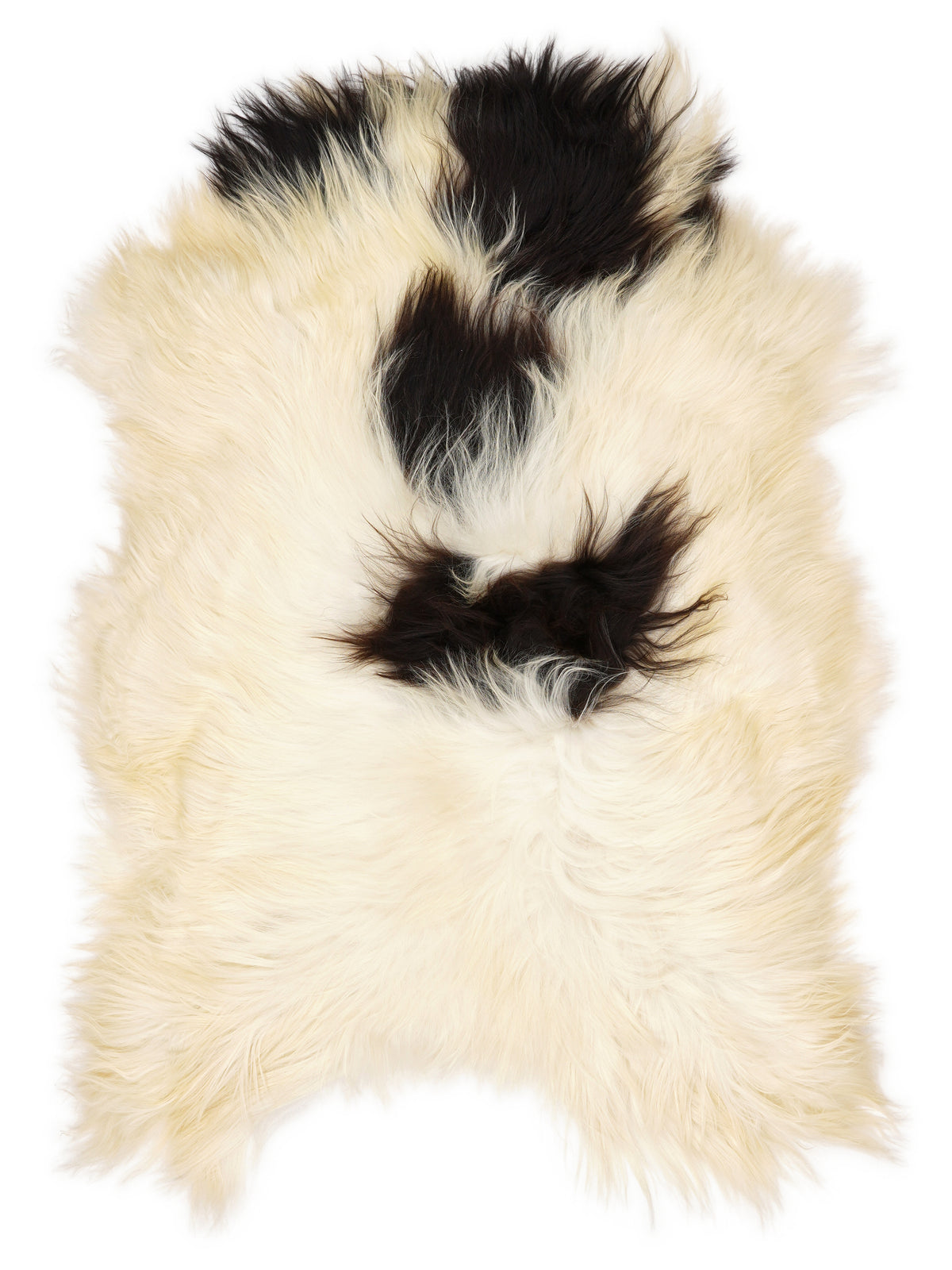 Icelandic multicolour sheepskin rug of about 120 × 80 cm, seen from above: the exact sheepskin you receive