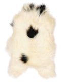 Icelandic multicolour sheepskin rug of about 120 × 75 cm, seen from above: the exact sheepskin you receive