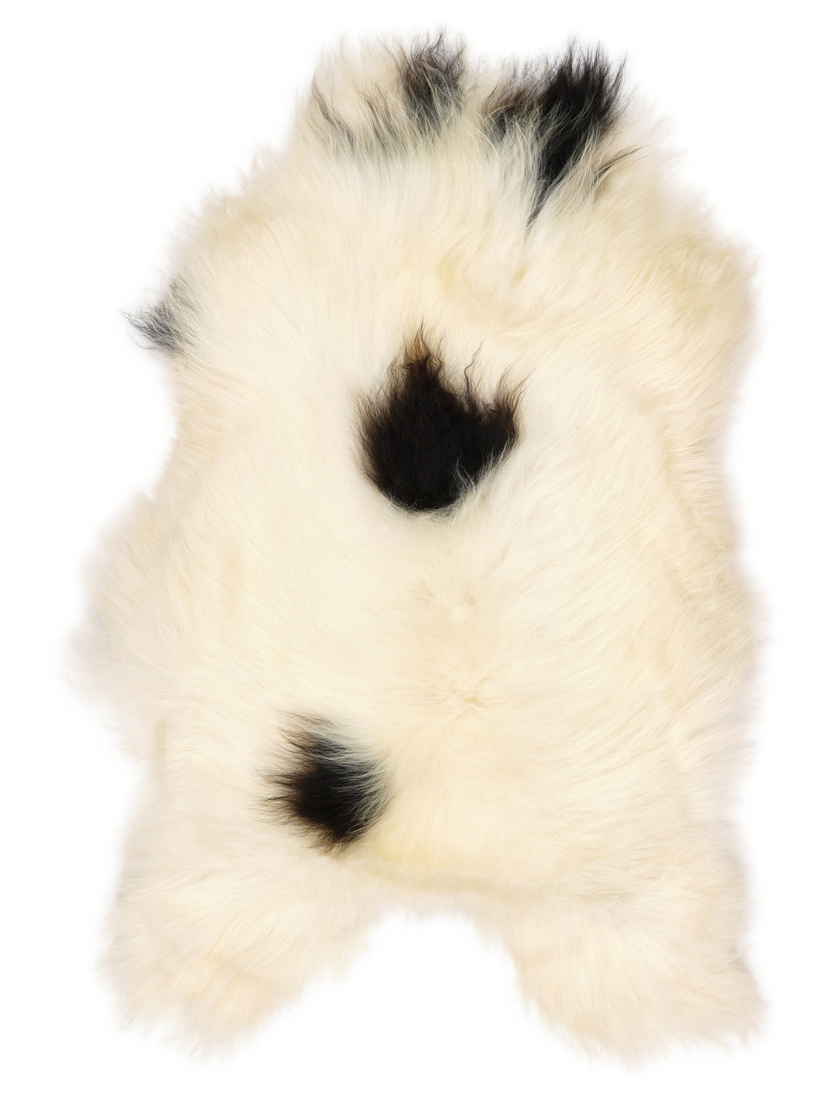 Icelandic multicolour sheepskin rug of about 120 × 75 cm, seen from above: the exact sheepskin you receive