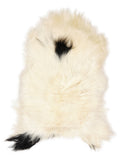 Icelandic multicolour sheepskin rug of about 120 × 70 cm, seen from above: the exact sheepskin you receive