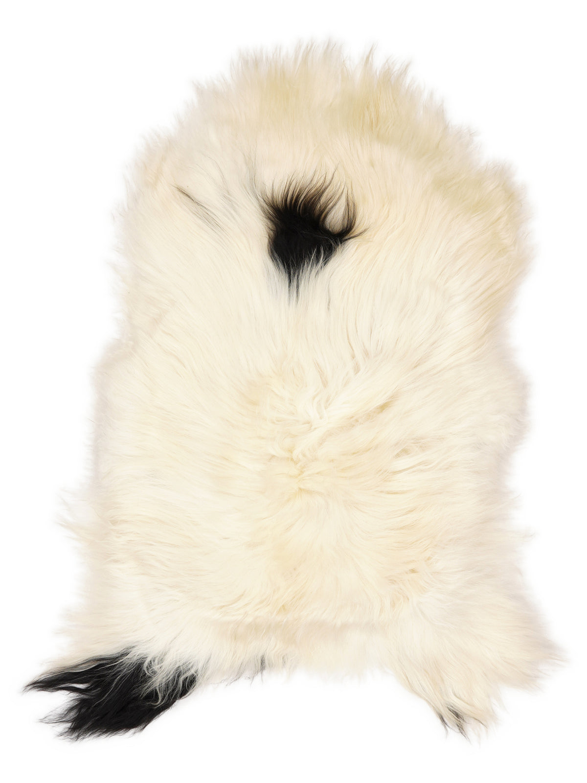 Icelandic multicolour sheepskin rug of about 120 × 70 cm, seen from above: the exact sheepskin you receive