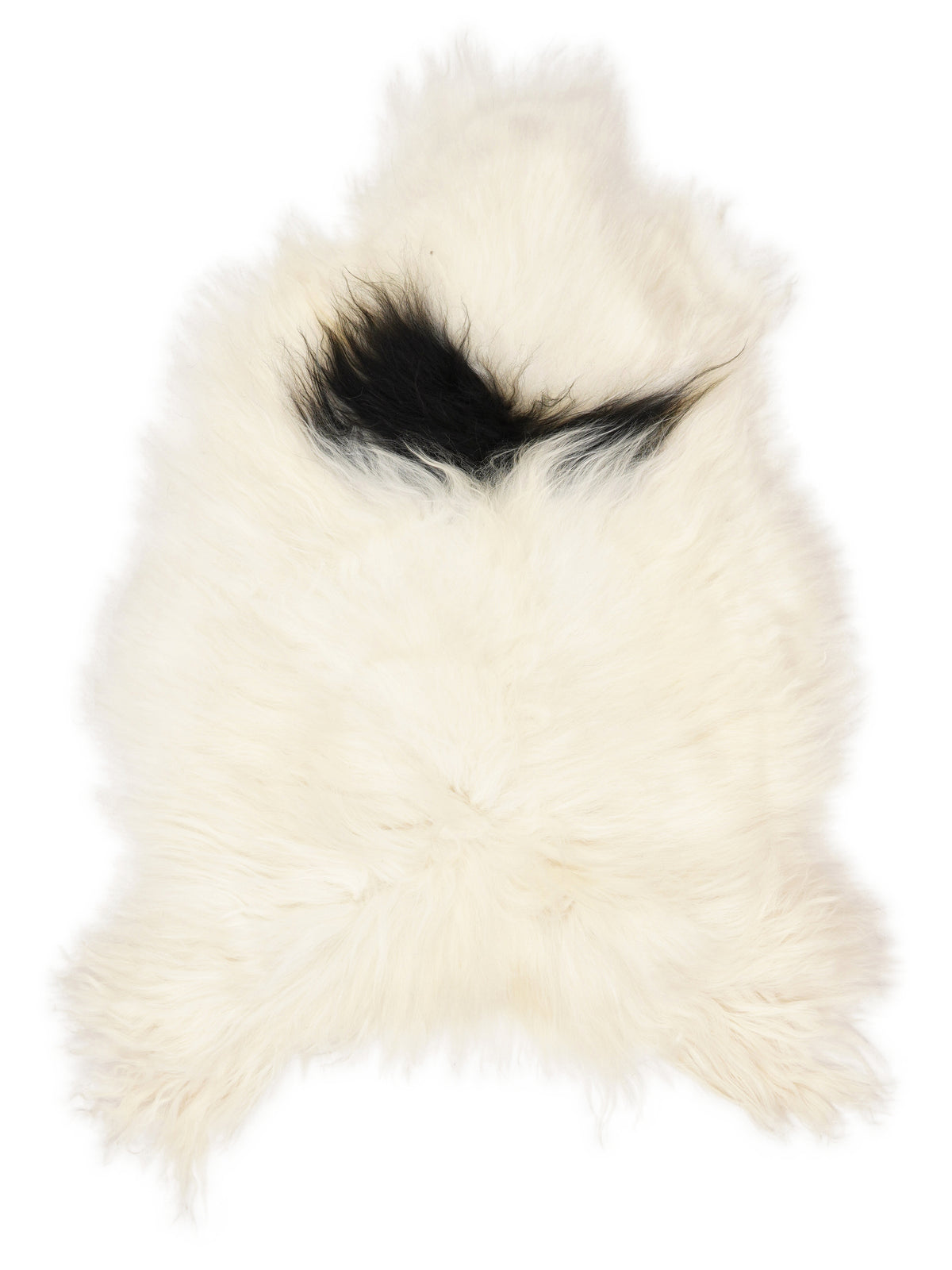 Icelandic multicolour sheepskin rug of about 110 × 70 cm, seen from above: the exact sheepskin you receive