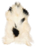 Icelandic multicolour sheepskin rug of about 120 × 65 cm, seen from above: the exact sheepskin you receive