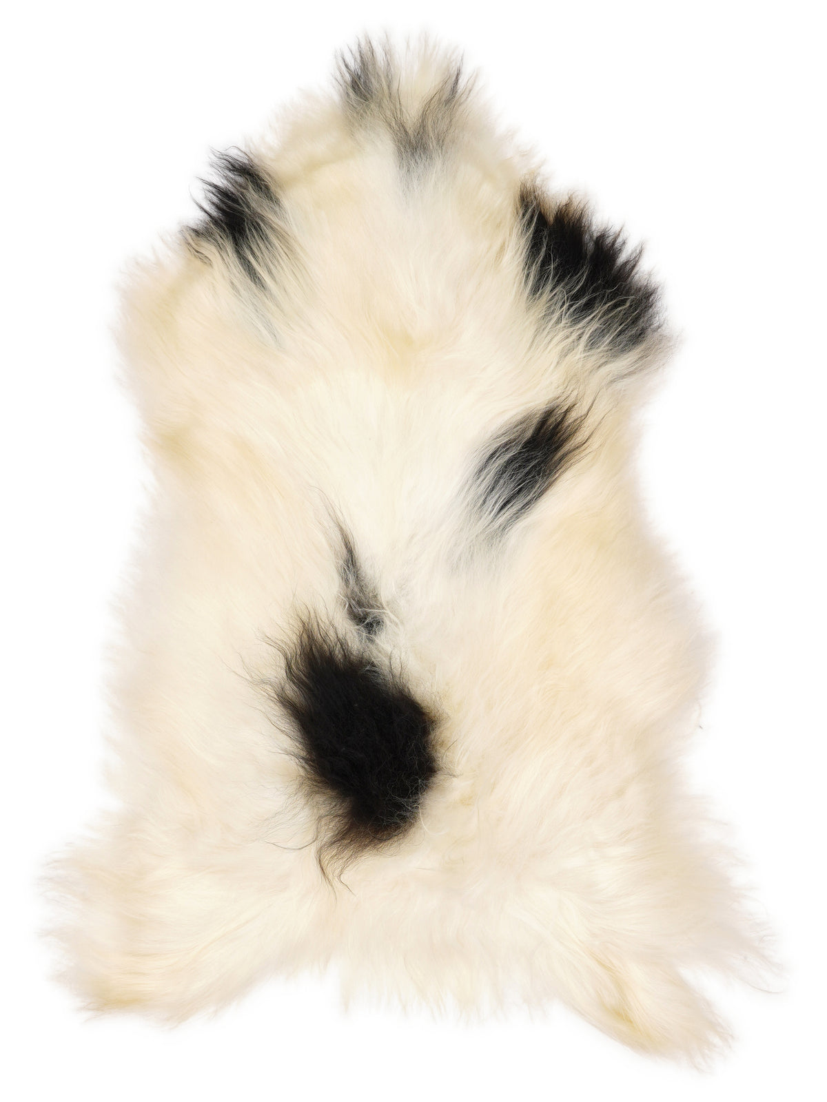 Icelandic multicolour sheepskin rug of about 120 × 65 cm, seen from above: the exact sheepskin you receive