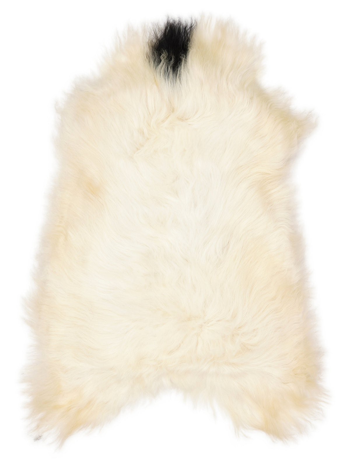Icelandic multicolour sheepskin rug of about 110 × 70 cm, seen from above: the exact sheepskin you receive
