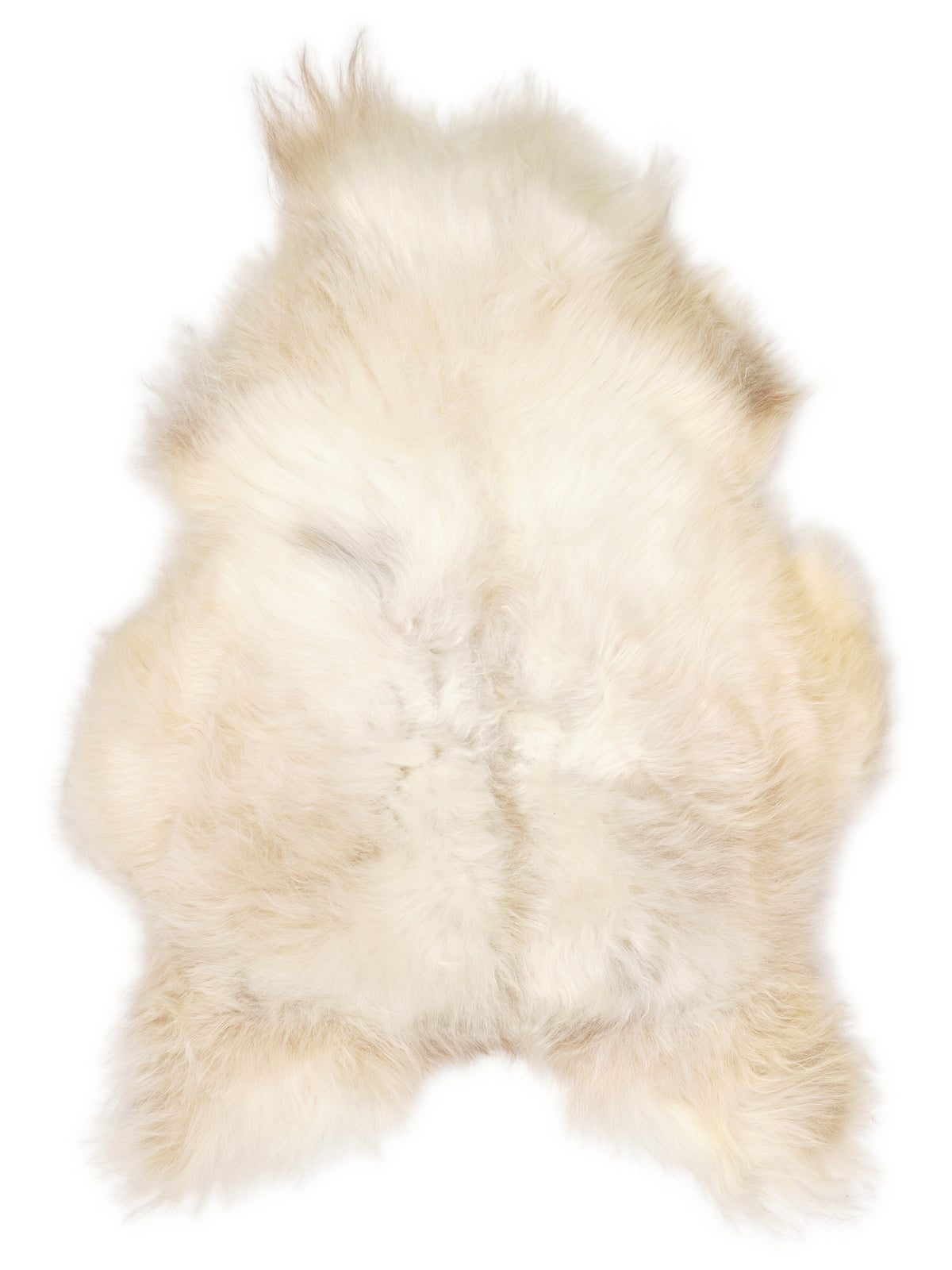 Icelandic multicolour sheepskin rug of about 110 × 80 cm, seen from above: the exact sheepskin you receive