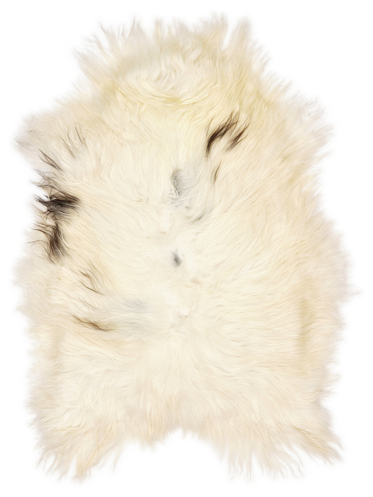 Icelandic multicolour sheepskin rug of about 110 × 75 cm, seen from above: the exact sheepskin you receive