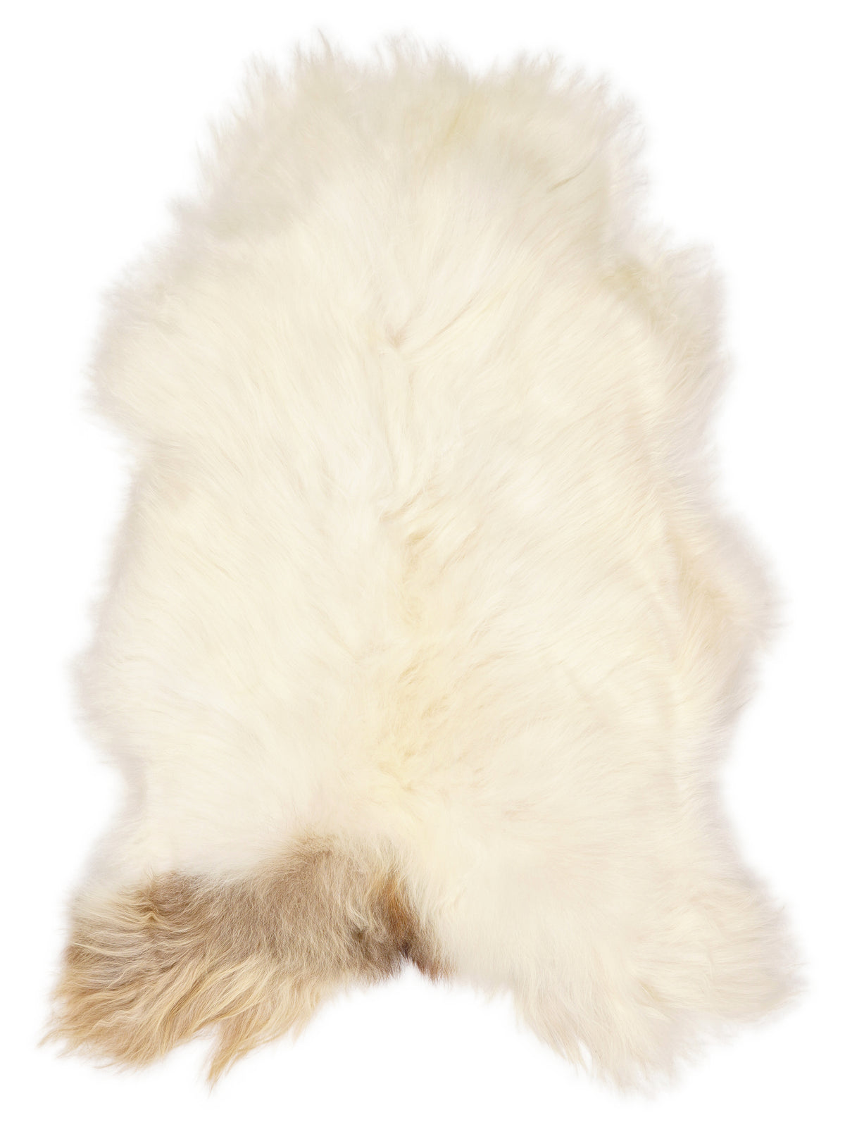 Icelandic multicolour sheepskin rug of about 120 × 75 cm, seen from above: the exact sheepskin you receive