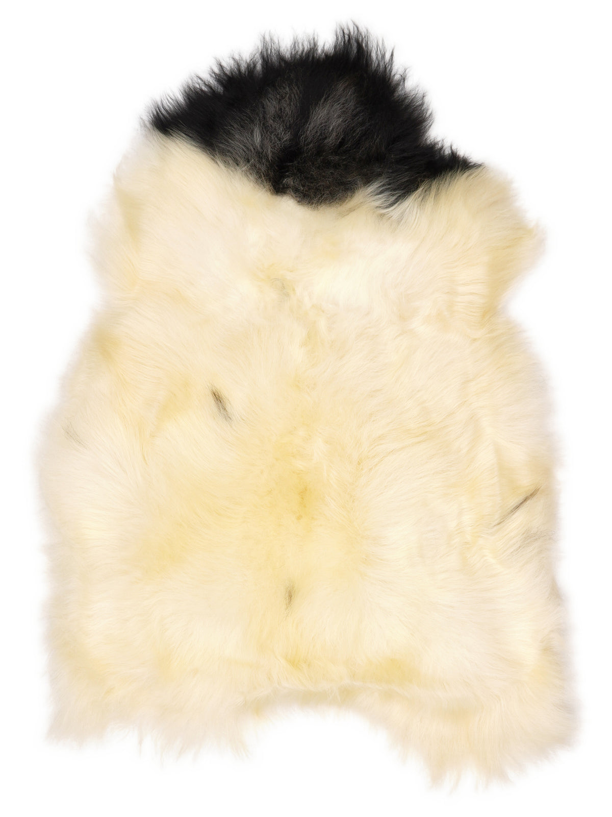 Icelandic multicolour sheepskin rug of about 120 × 80 cm, seen from above: the exact sheepskin you receive