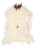 Icelandic multicolour sheepskin rug of about 120 × 70 cm, seen from above: the exact sheepskin you receive