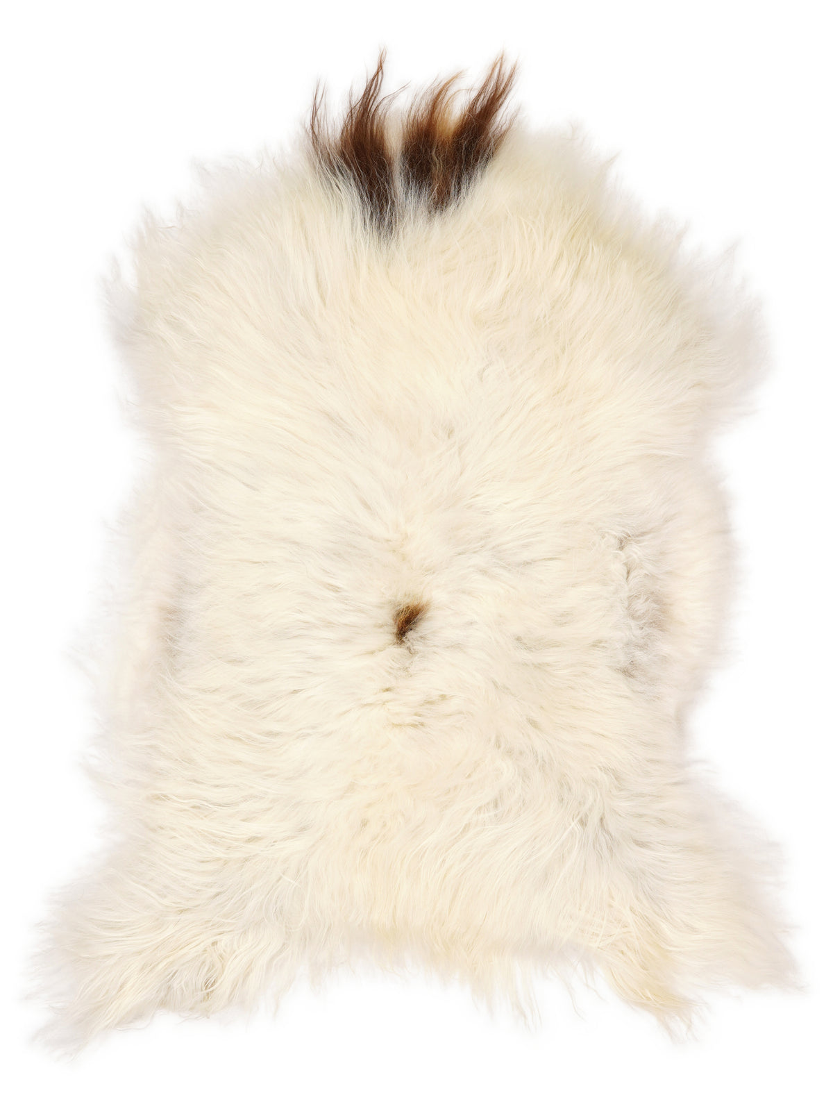 Icelandic multicolour sheepskin rug of about 120 × 70 cm, seen from above: the exact sheepskin you receive