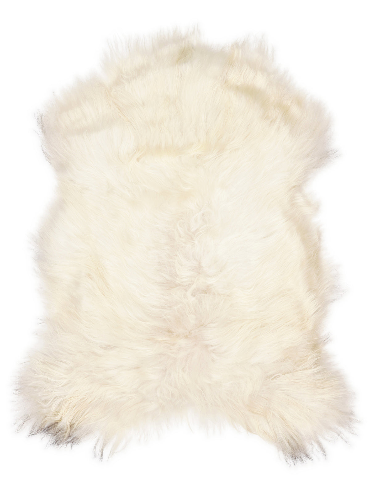Icelandic multicolour sheepskin rug of about 110 × 70 cm, seen from above: the exact sheepskin you receive