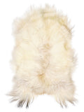 Icelandic multicolour sheepskin rug of about 120 × 75 cm, seen from above: the exact sheepskin you receive