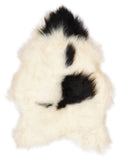 Icelandic multicolour sheepskin rug of about 120 × 80 cm, seen from above: the exact sheepskin you receive