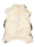 Icelandic multicolour sheepskin rug of about 110 × 75 cm, seen from above: the exact sheepskin you receive