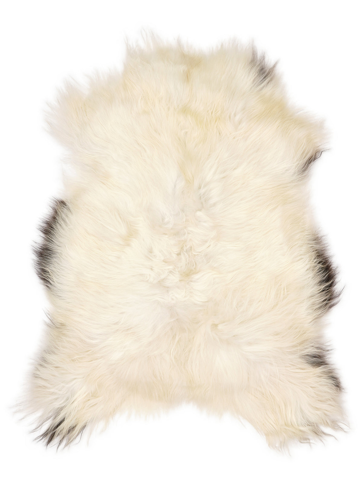Icelandic multicolour sheepskin rug of about 110 × 75 cm, seen from above: the exact sheepskin you receive