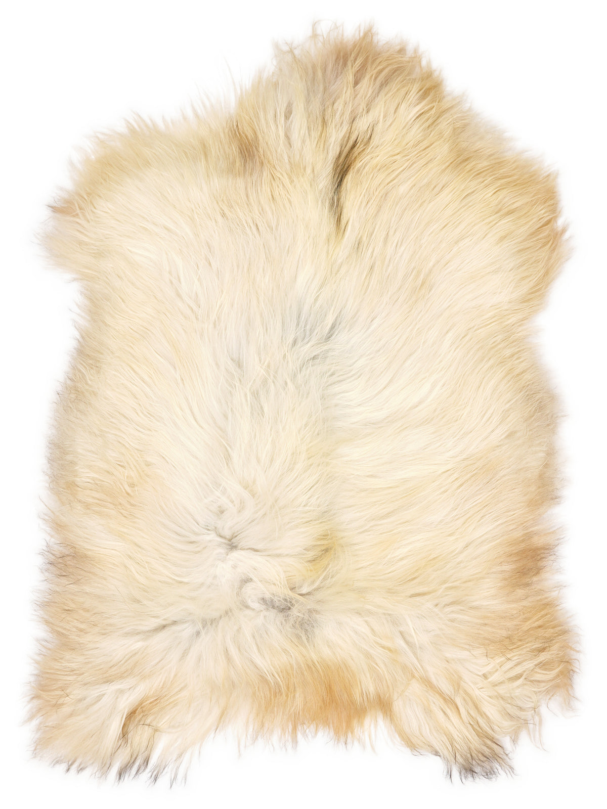 Icelandic multicolour sheepskin rug of about 110 × 70 cm, seen from above: the exact sheepskin you receive