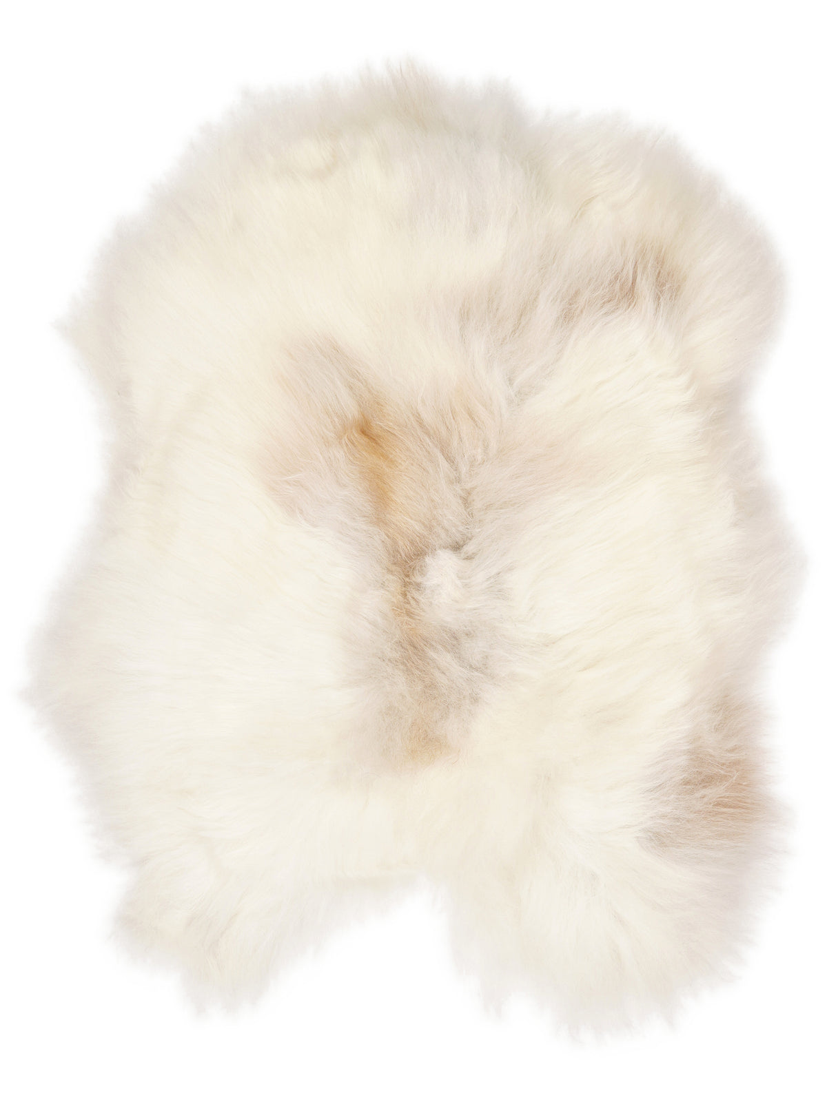 Icelandic multicolour sheepskin rug of about 110 × 75 cm, seen from above: the exact sheepskin you receive