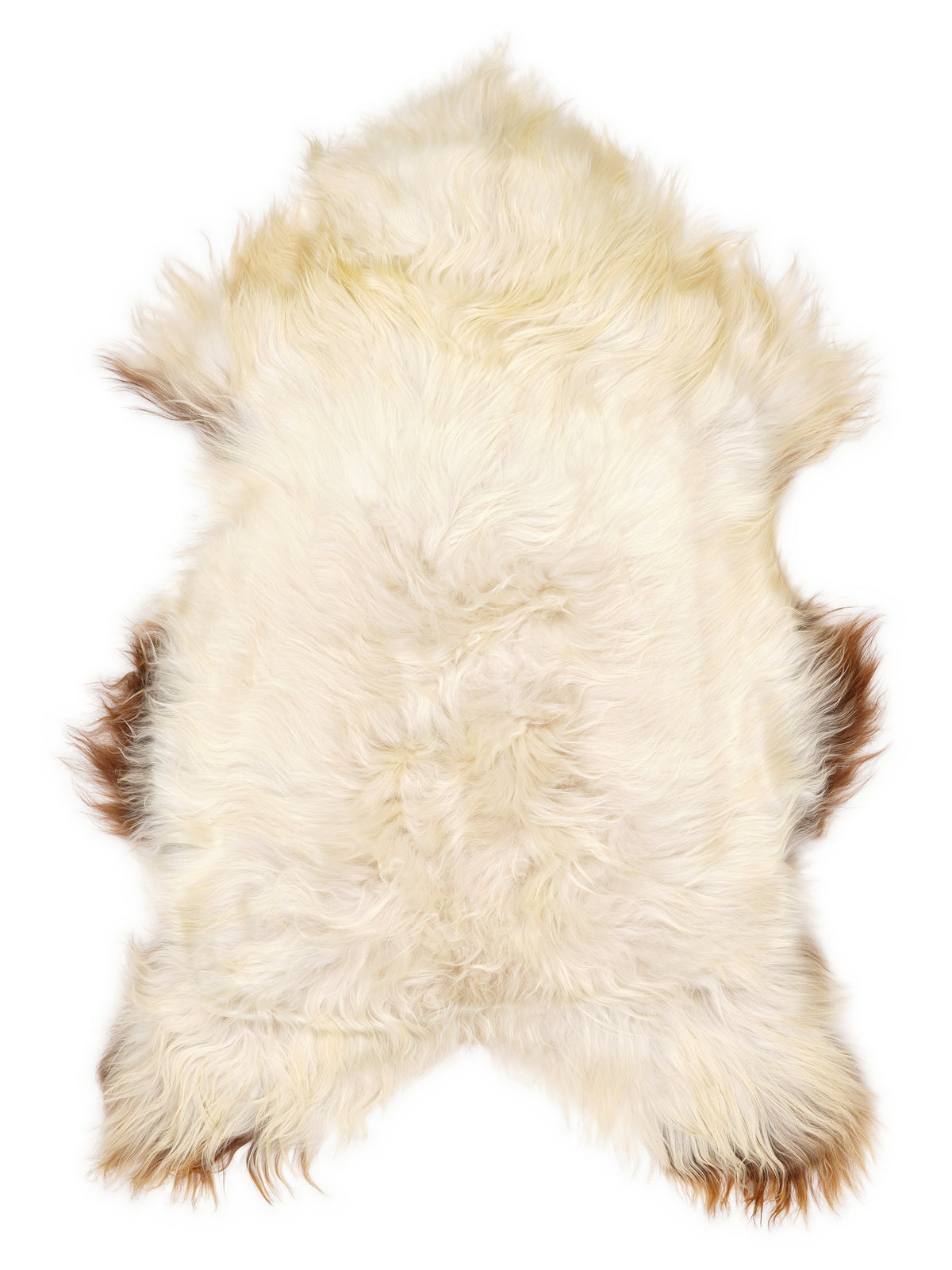 Icelandic multicolour sheepskin rug of about 115 × 70 cm, seen from above: the exact sheepskin you receive
