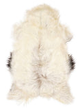 Icelandic multicolour sheepskin rug of about 120 × 70 cm, seen from above: the exact sheepskin you receive