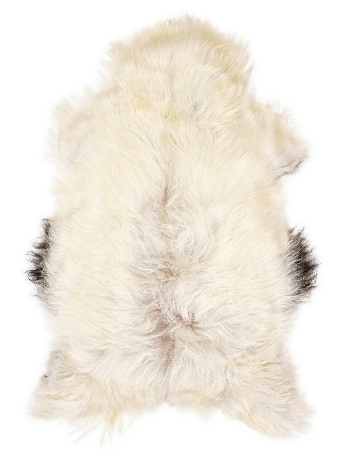 Icelandic multicolour sheepskin rug of about 120 × 70 cm, seen from above: the exact sheepskin you receive