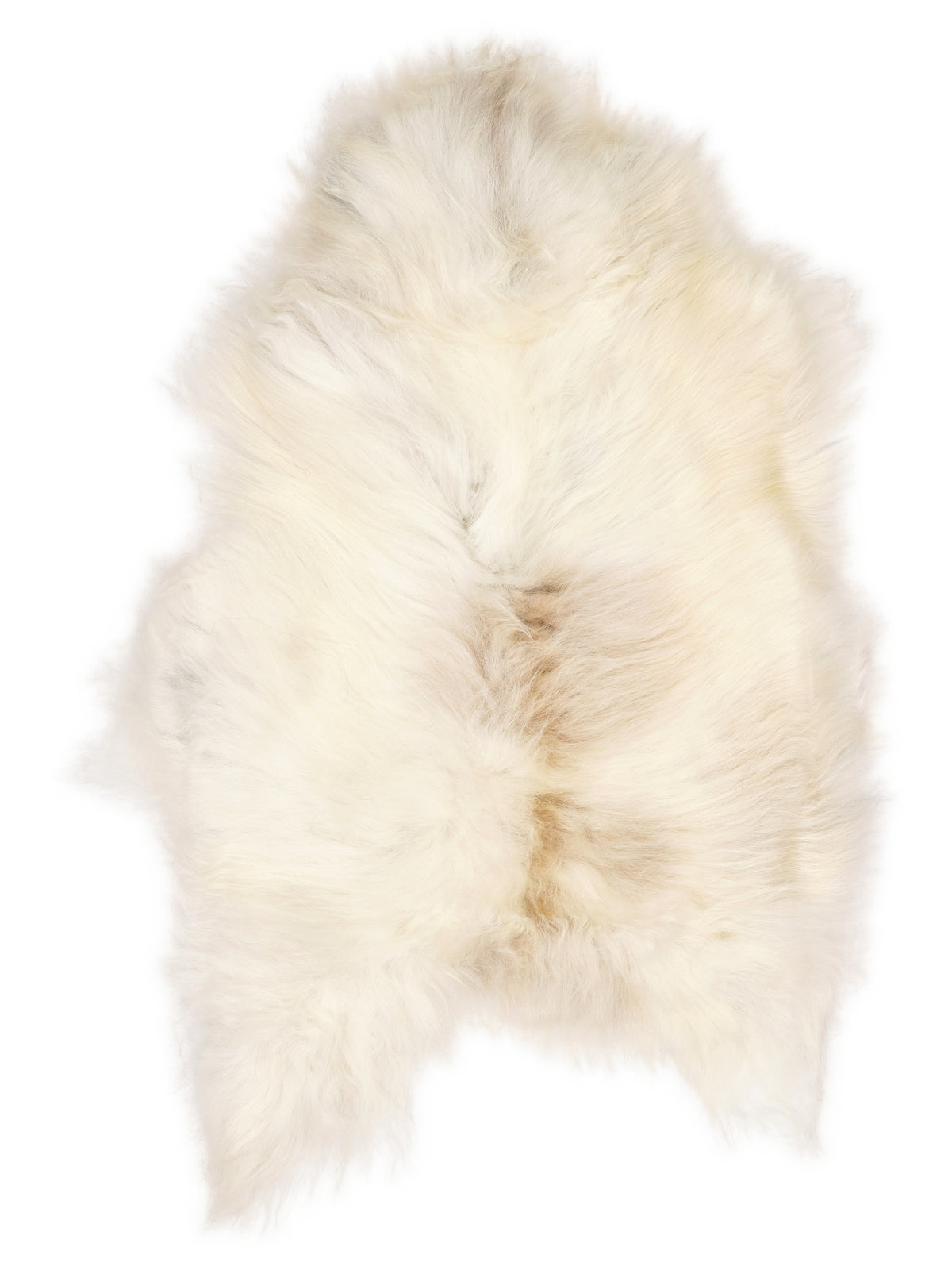 Icelandic multicolour sheepskin rug of about 105 × 70 cm, seen from above: the exact sheepskin you receive