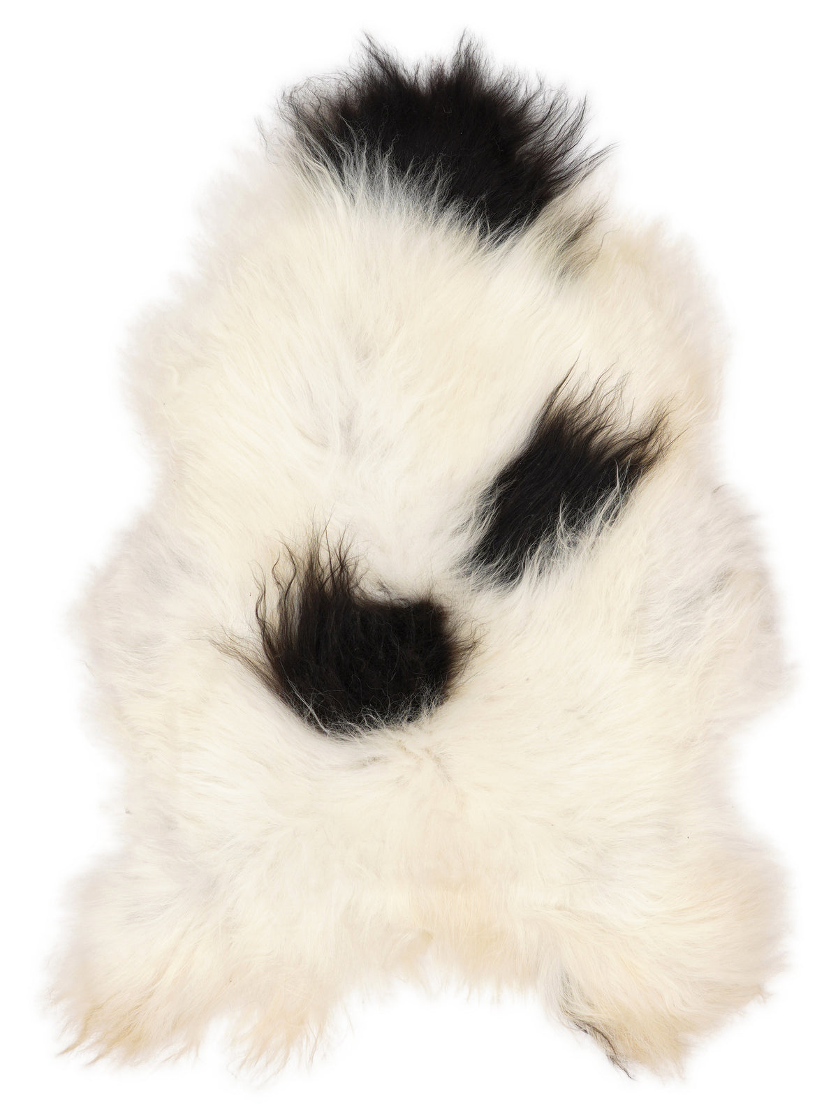 Icelandic multicolour sheepskin rug of about 120 × 80 cm, seen from above: the exact sheepskin you receive