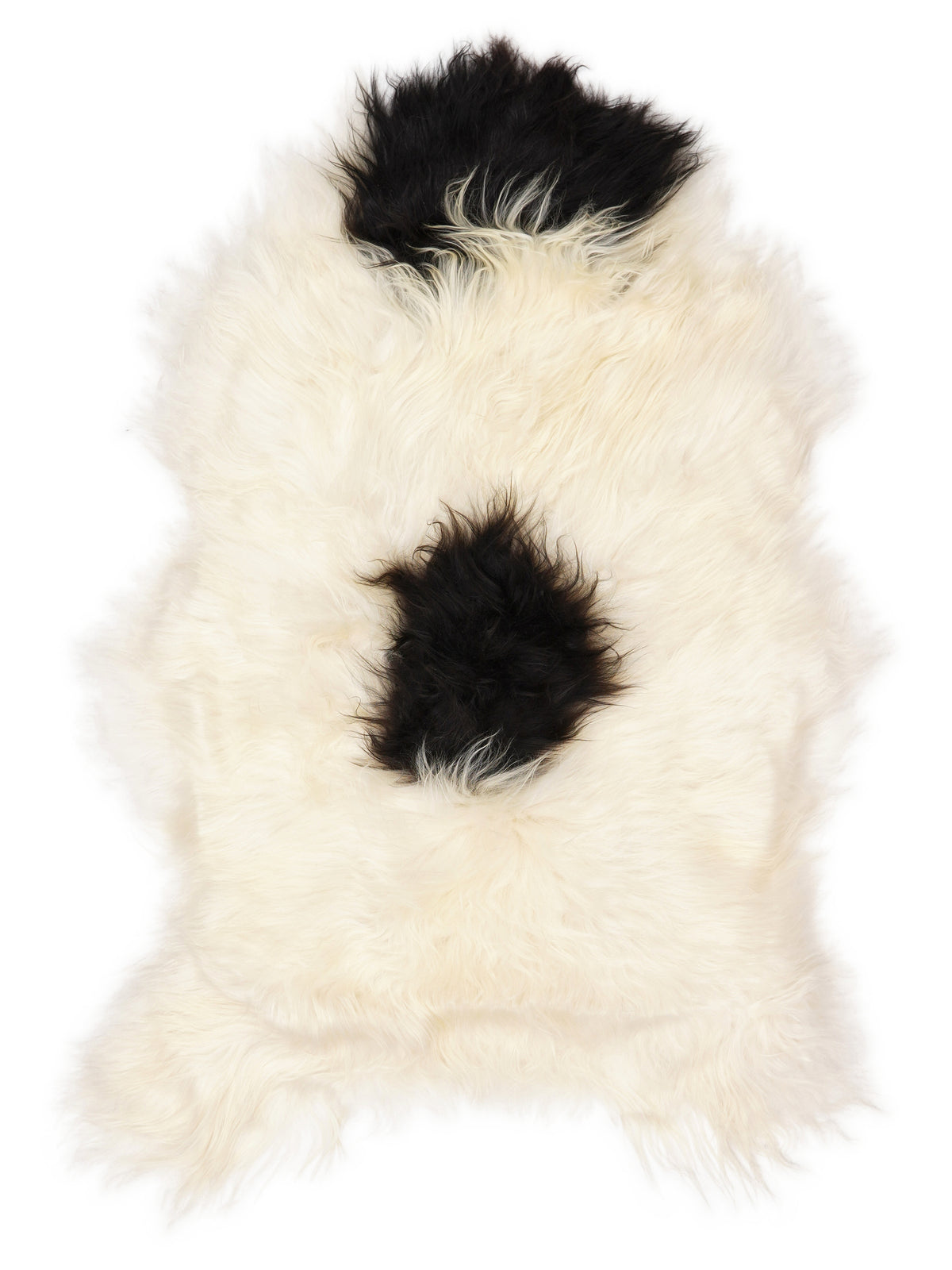 Icelandic multicolour sheepskin rug of about 110 × 70 cm, seen from above: the exact sheepskin you receive