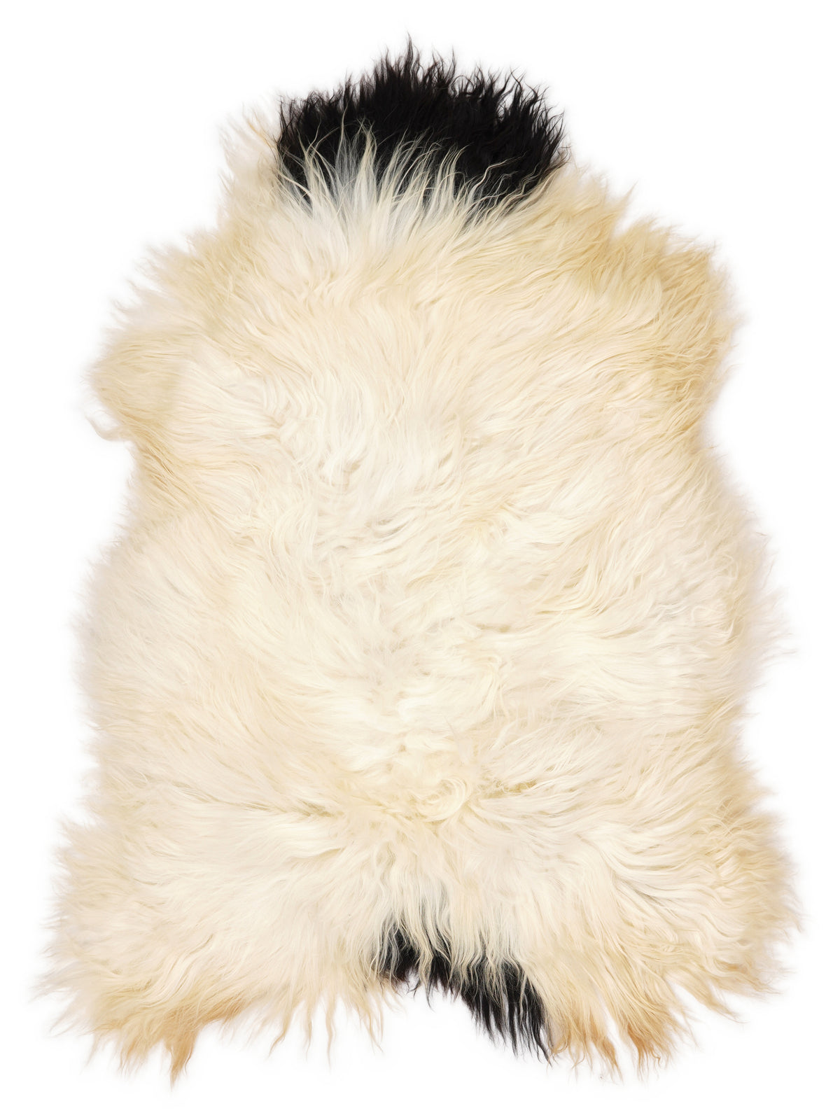 Icelandic multicolour sheepskin rug of about 120 × 80 cm, seen from above: the exact sheepskin you receive