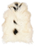 Icelandic multicolour sheepskin rug of about 110 × 70 cm, seen from above: the exact sheepskin you receive