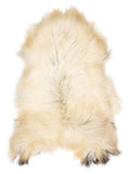 Icelandic multicolour sheepskin rug of about 110 × 70 cm, seen from above: the exact sheepskin you receive