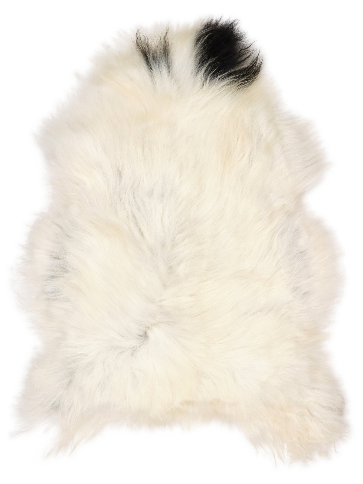 Icelandic multicolour sheepskin rug of about 120 × 85 cm, seen from above: the exact sheepskin you receive