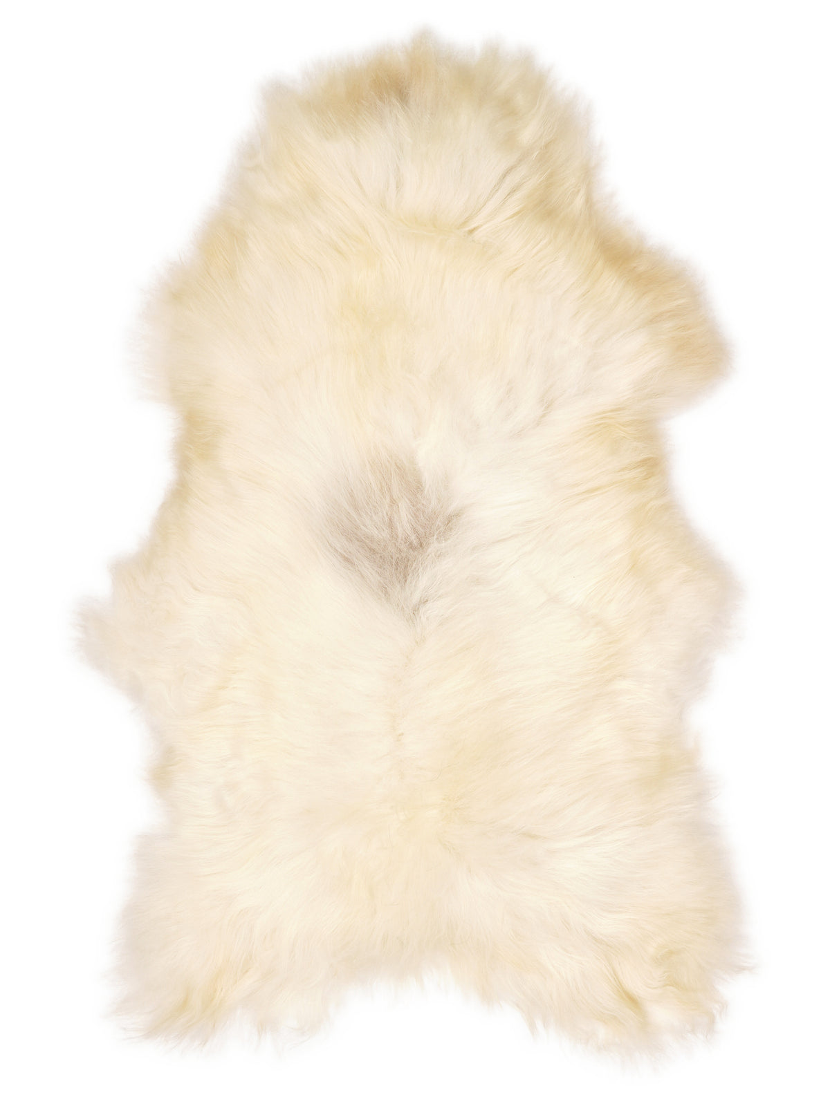 Icelandic multicolour sheepskin rug of about 120 × 75 cm, seen from above: the exact sheepskin you receive