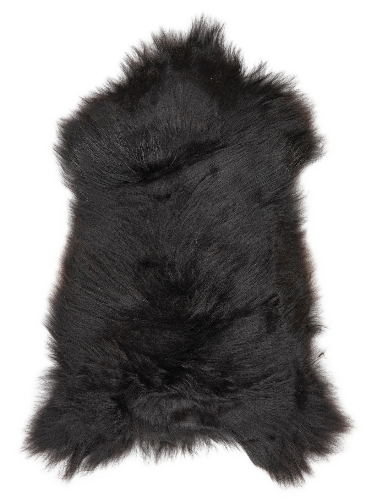 Icelandic multicolour sheepskin rug of about 110 × 65 cm, seen from above: the exact sheepskin you receive
