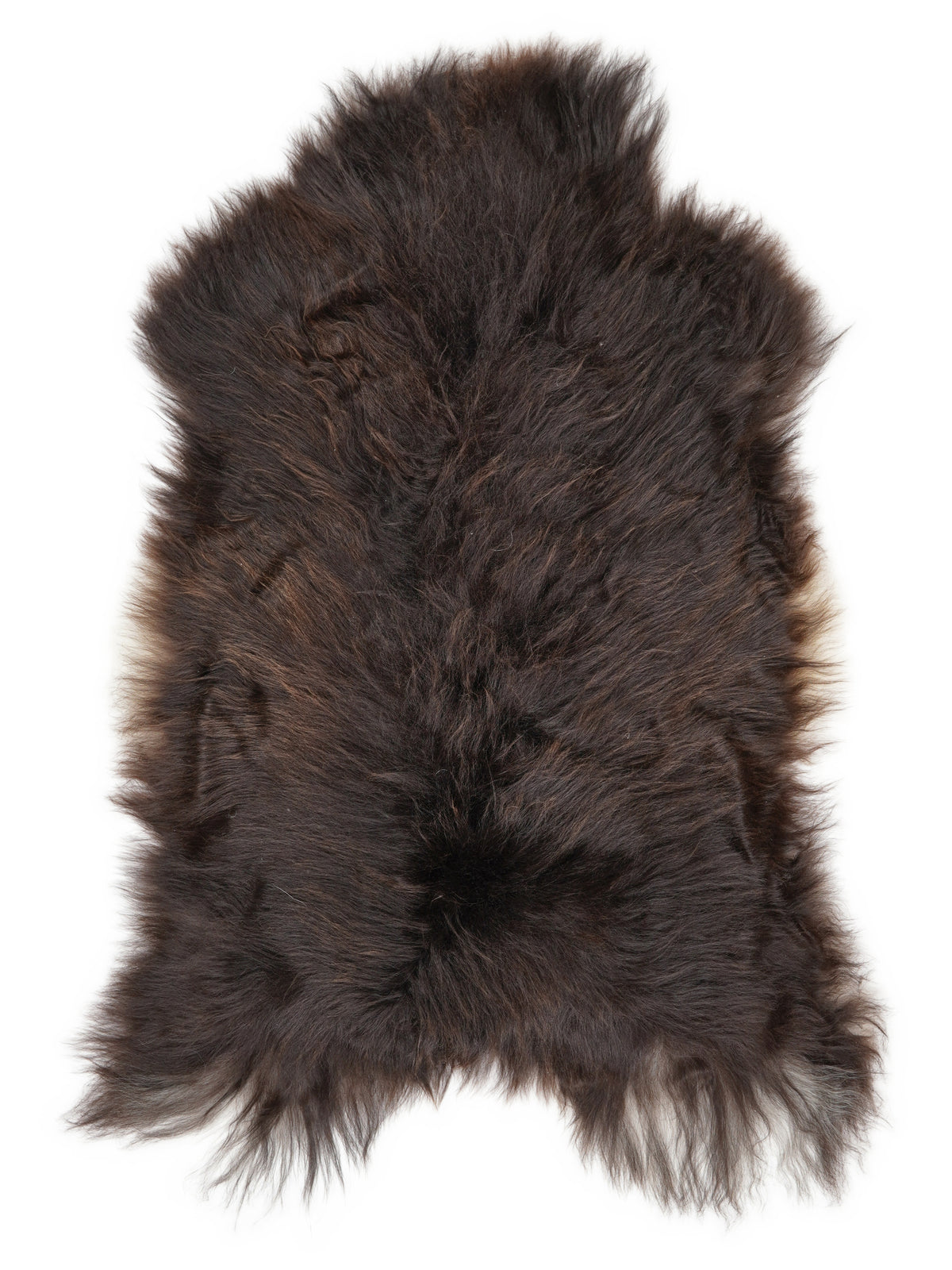 Icelandic multicolour sheepskin rug of about 120 × 70 cm, seen from above: the exact sheepskin you receive