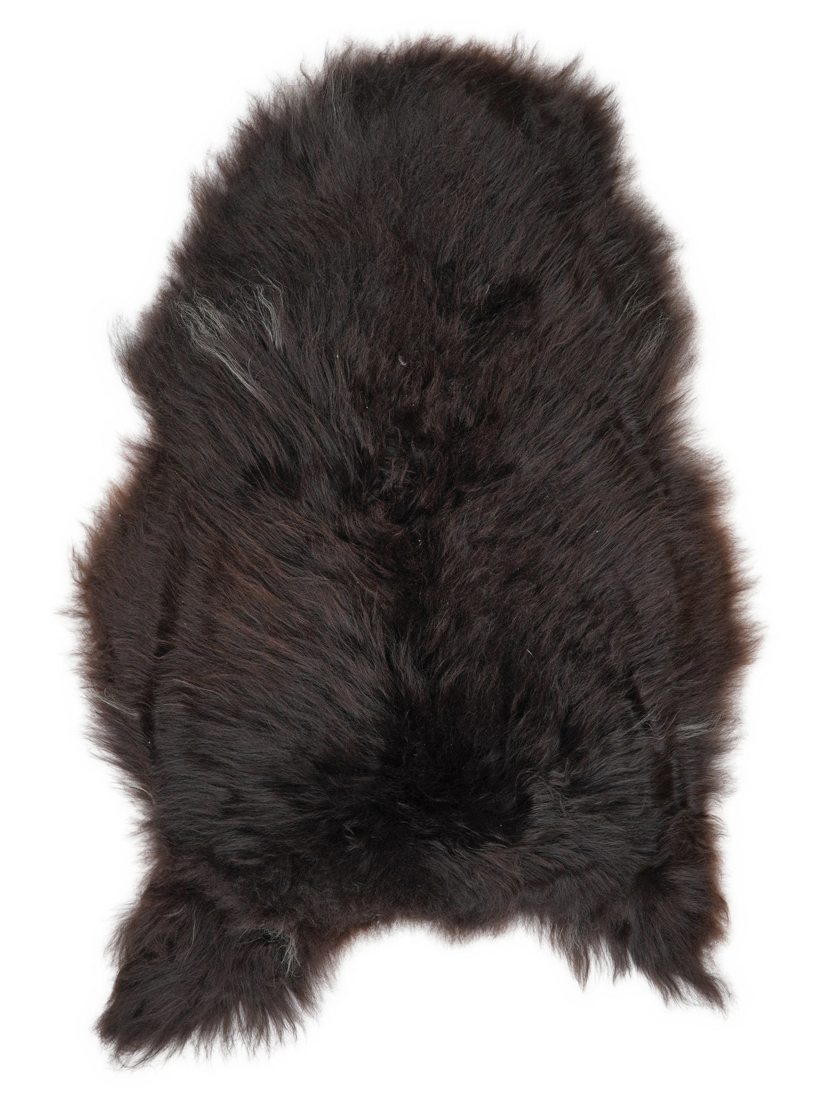 Icelandic multicolour sheepskin rug of about 110 × 70 cm, seen from above: the exact sheepskin you receive