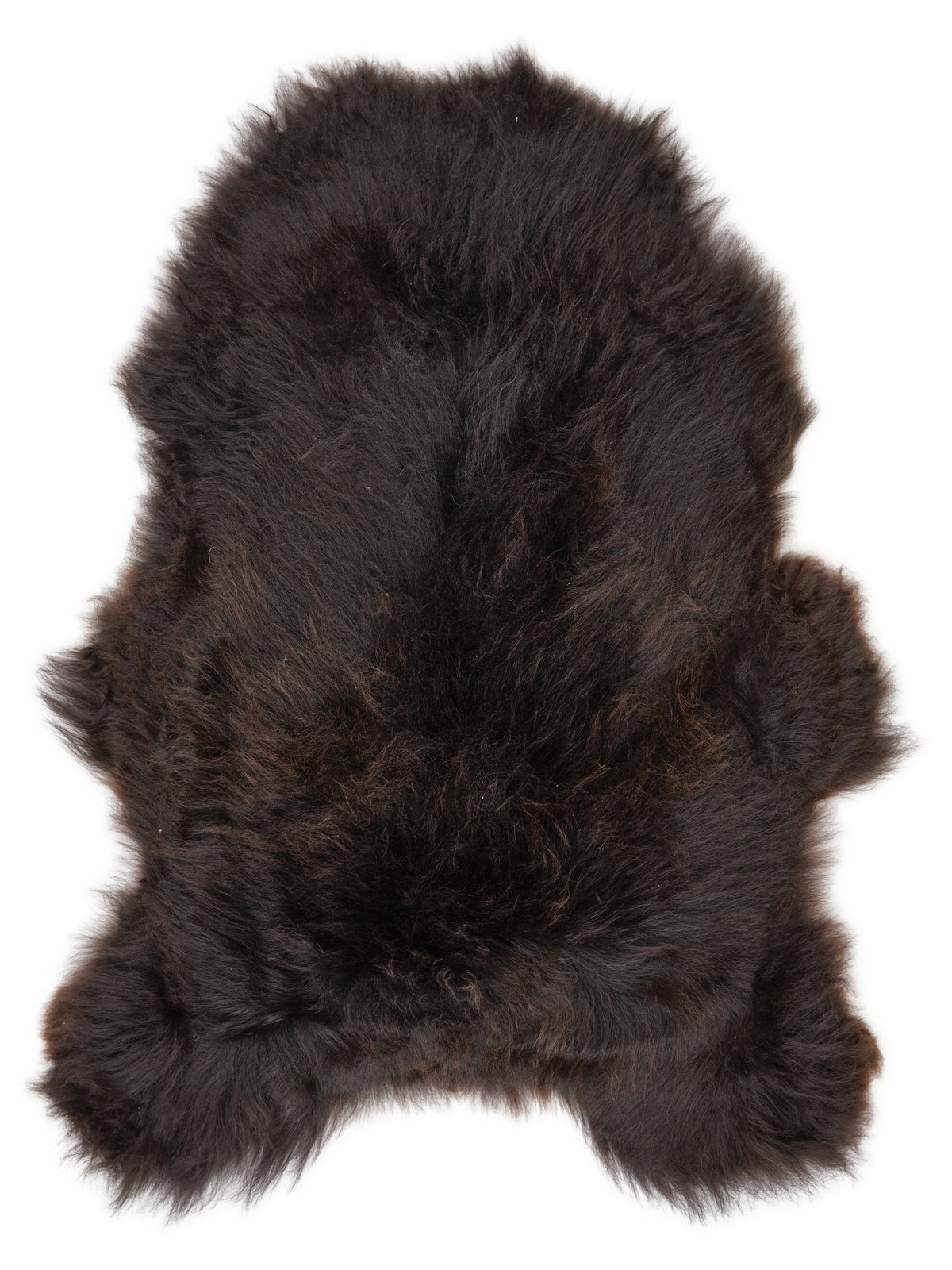 Icelandic multicolour sheepskin rug of about 120 × 80 cm, seen from above: the exact sheepskin you receive